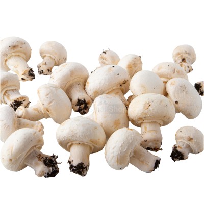 Шампиньоны свежие 500 г - купить в Карадаглах